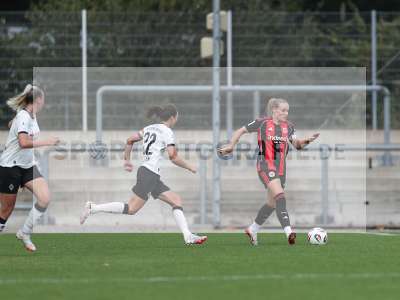 Bild-ID: 2503766