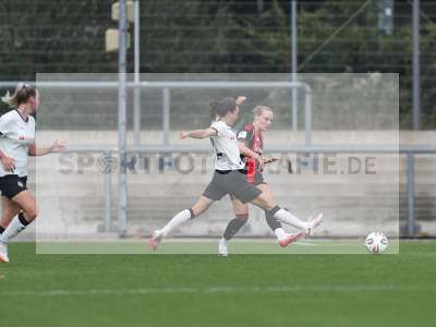 Bild-ID: 2503767