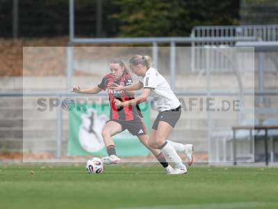 Bild-ID: 2503769
