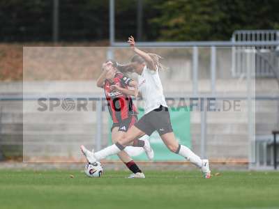 Bild-ID: 2503771
