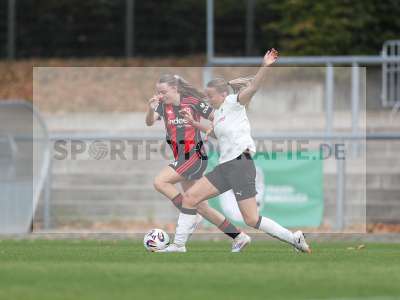 Bild-ID: 2503772