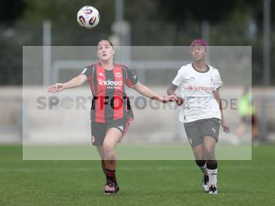 Bild-ID: 2503782