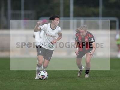 Bild-ID: 2503801