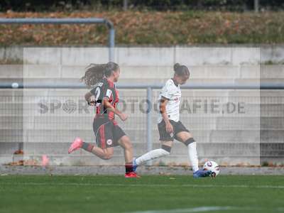 Bild-ID: 2503806