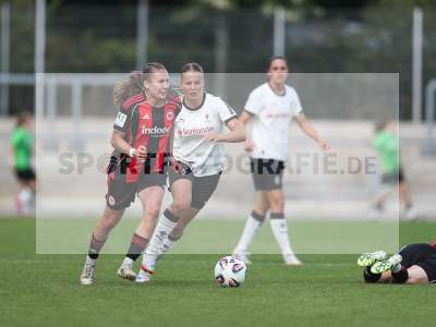Bild-ID: 2503811