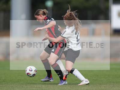Bild-ID: 2503817