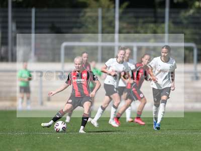 Bild-ID: 2503821