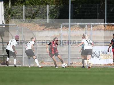 Bild-ID: 2503824