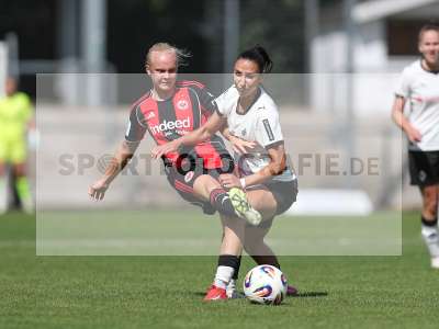 Bild-ID: 2503826