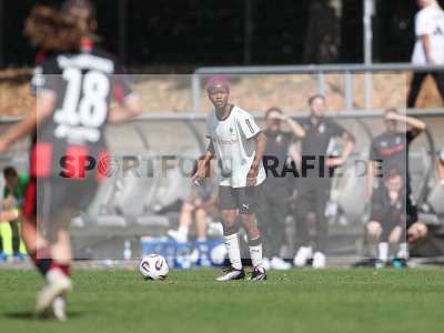 Bild-ID: 2503832