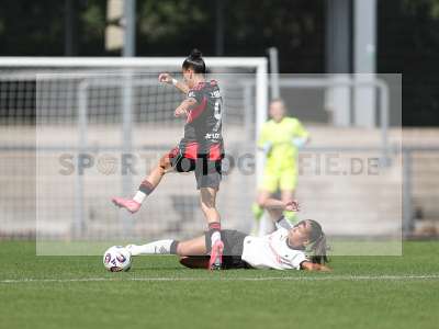 Bild-ID: 2503833