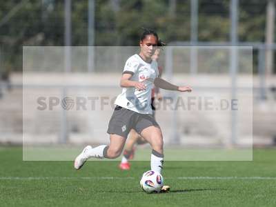 Bild-ID: 2503837