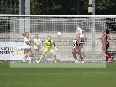 Bild-ID: 2503850
