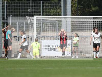 Bild-ID: 2503851