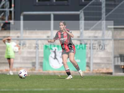 Bild-ID: 2503868
