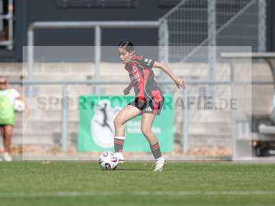 Bild-ID: 2503870