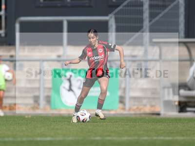 Bild-ID: 2503871
