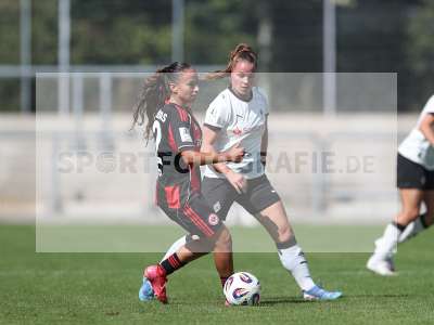 Bild-ID: 2503875
