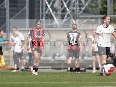 Bild-ID: 2503885