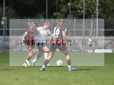 Bild-ID: 2503888