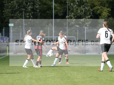 Bild-ID: 2503890