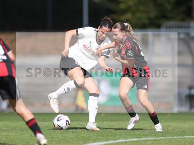 Bild-ID: 2503896