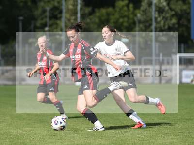 Bild-ID: 2503906