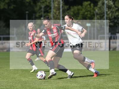Bild-ID: 2503907