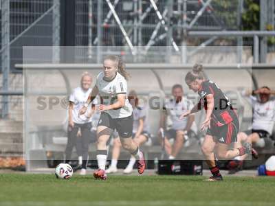 Bild-ID: 2503925