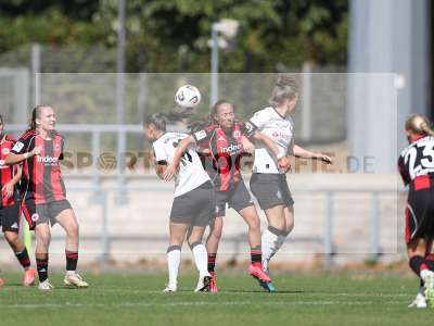Bild-ID: 2503926