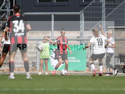Bild-ID: 2503928