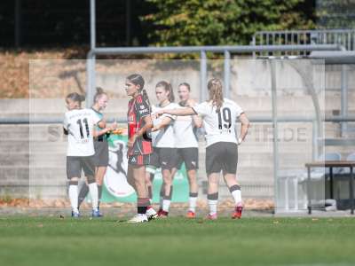 Bild-ID: 2503929