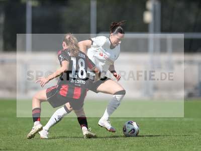 Bild-ID: 2503932