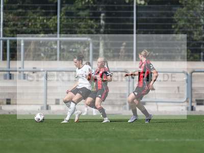 Bild-ID: 2503933