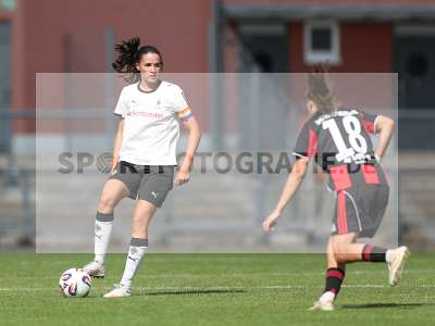 Bild-ID: 2503940