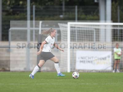 Bild-ID: 2503947