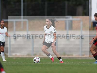 Bild-ID: 2503950