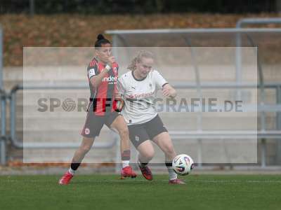 Bild-ID: 2503951