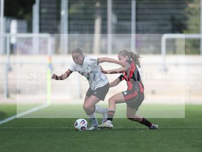 Bild-ID: 2503964