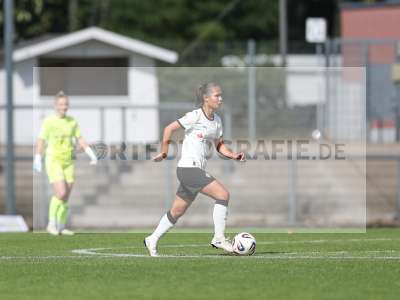 Bild-ID: 2503969