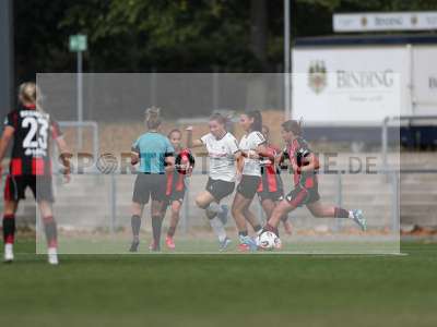 Bild-ID: 2503992