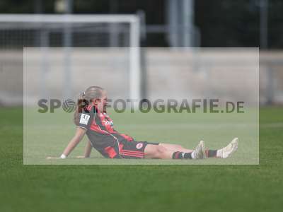 Bild-ID: 2504000