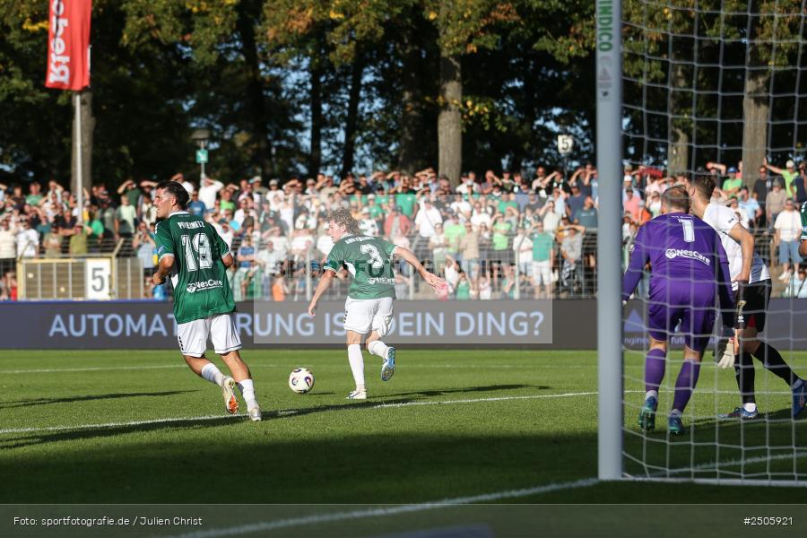 sport, action, Schweinfurt, Sachs-Stadion, SVW, SV Wehen Wiesbaden, Fussball, FCS, DFB, 4. Spieltag, 31.08.2025, 3. Liga, 1. FC Schweinfurt 1905 - Bild-ID: 2505921