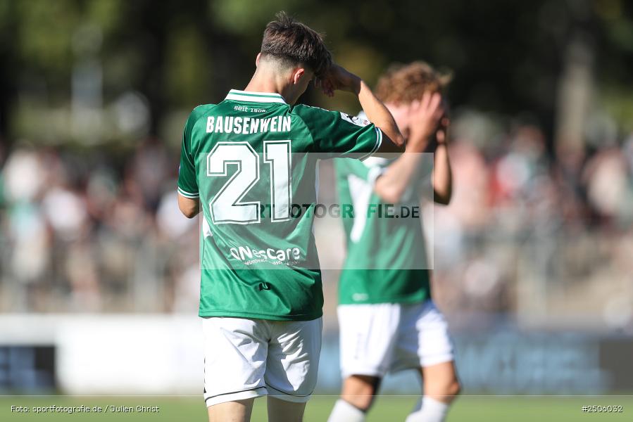 sport, action, Schweinfurt, Sachs-Stadion, SVW, SV Wehen Wiesbaden, Fussball, FCS, DFB, 4. Spieltag, 31.08.2025, 3. Liga, 1. FC Schweinfurt 1905 - Bild-ID: 2506032