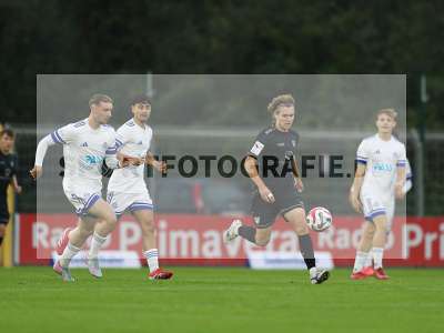 Bild-ID: 2507931
