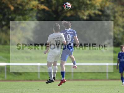Bild-ID: 2509260