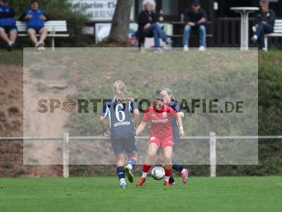 Bild-ID: 2510153