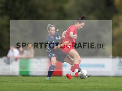 Bild-ID: 2510197