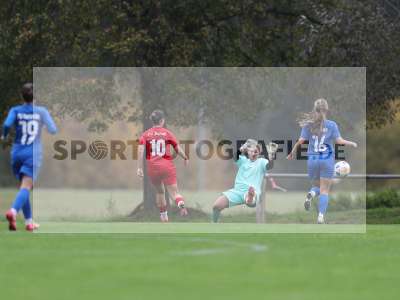 Bild-ID: 2516012