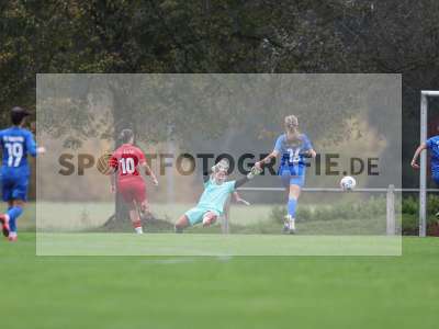 Bild-ID: 2516013